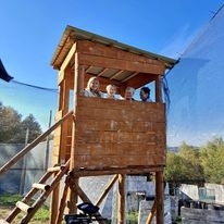 pokaż obrazek - Pintball i biesiada w Paszynie