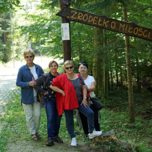 pokaż obrazek - 