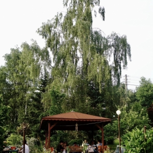 pokaż obrazek - Grill na rozpoczęcie lata