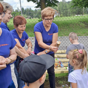 pokaż obrazek - 