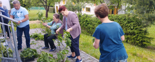 7. Klub zielarzy