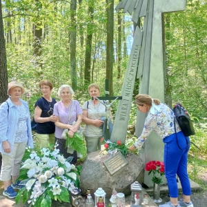pokaż obrazek - 